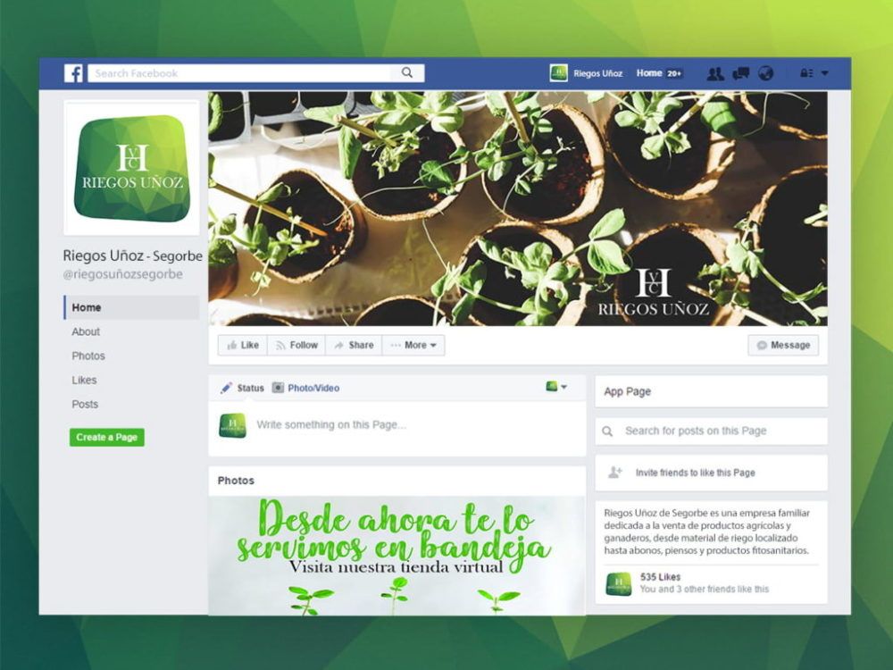 Web y redes sociales.