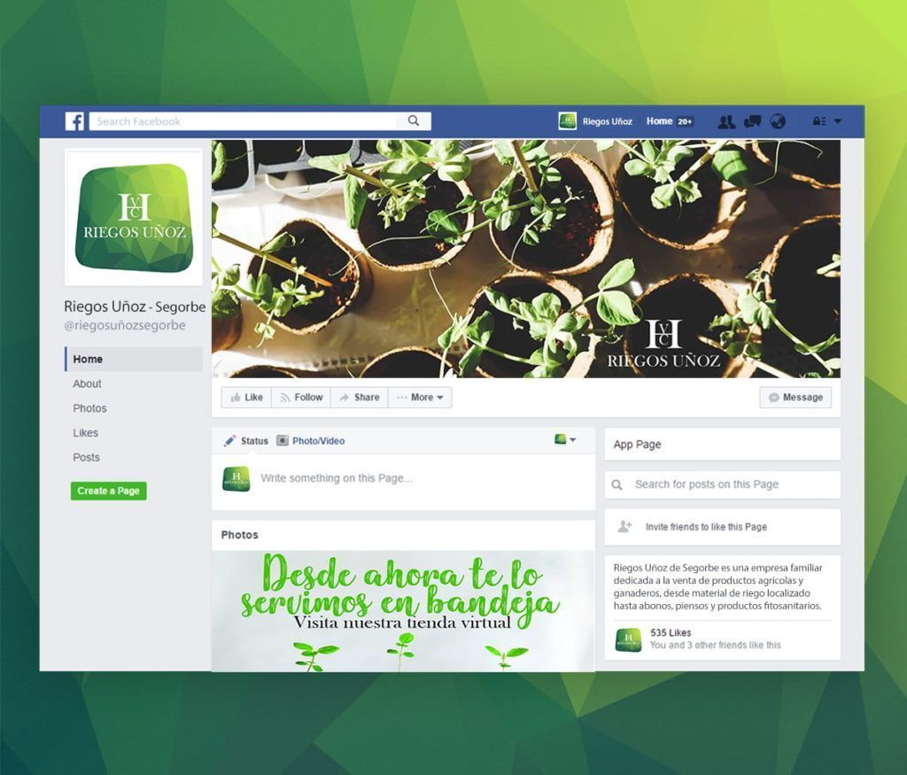 Web y redes sociales.