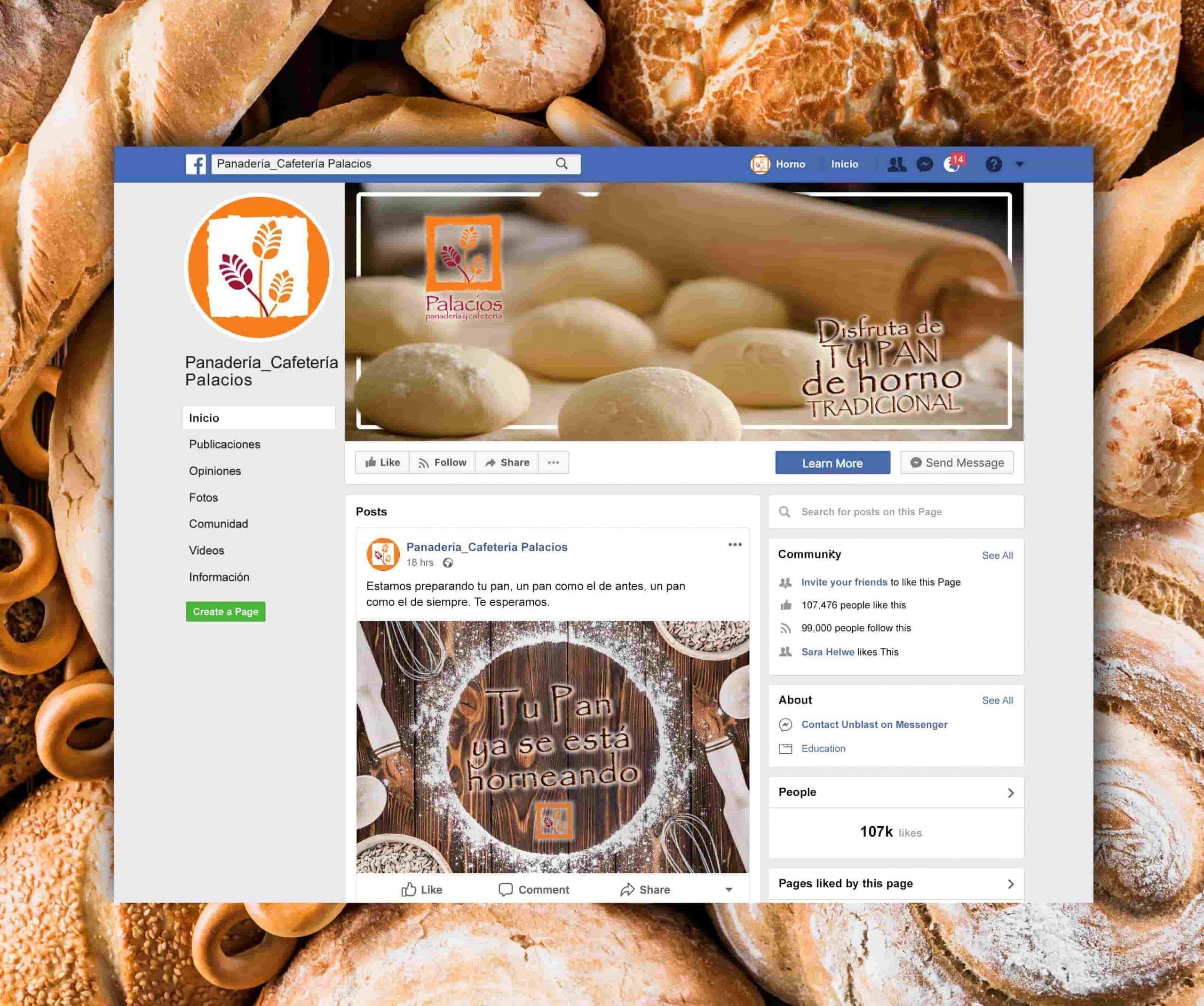 Web y redes sociales – Community manager.