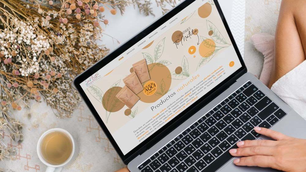 Web Design e Ecommerce